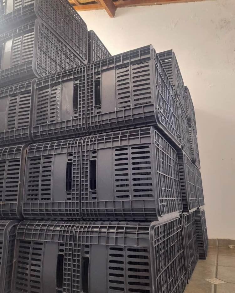 Caixa plástica organizadora para indústria