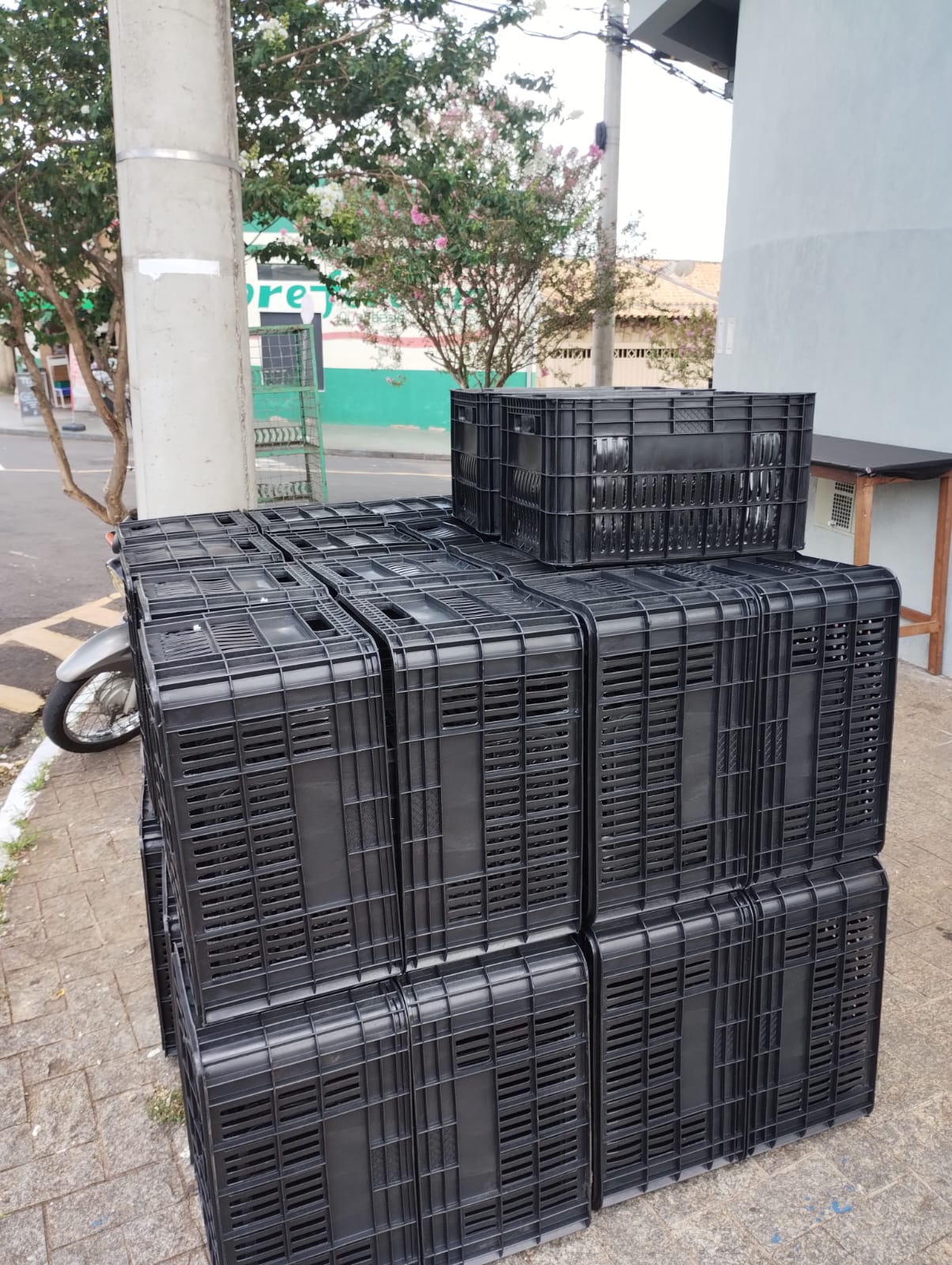 Caixa plástica organizadora para indústria