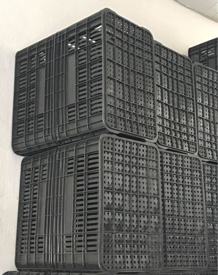 Caixa plástica organizadora para indústria