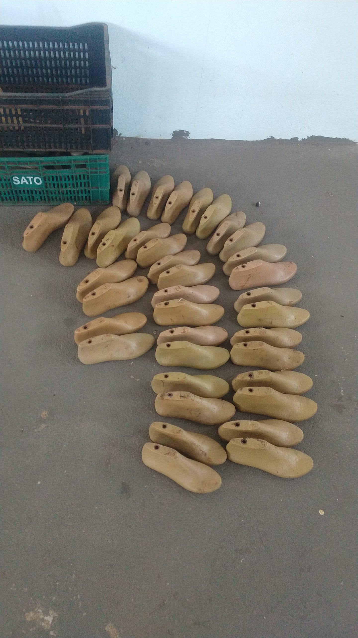 Formas sapatilha bico redondo