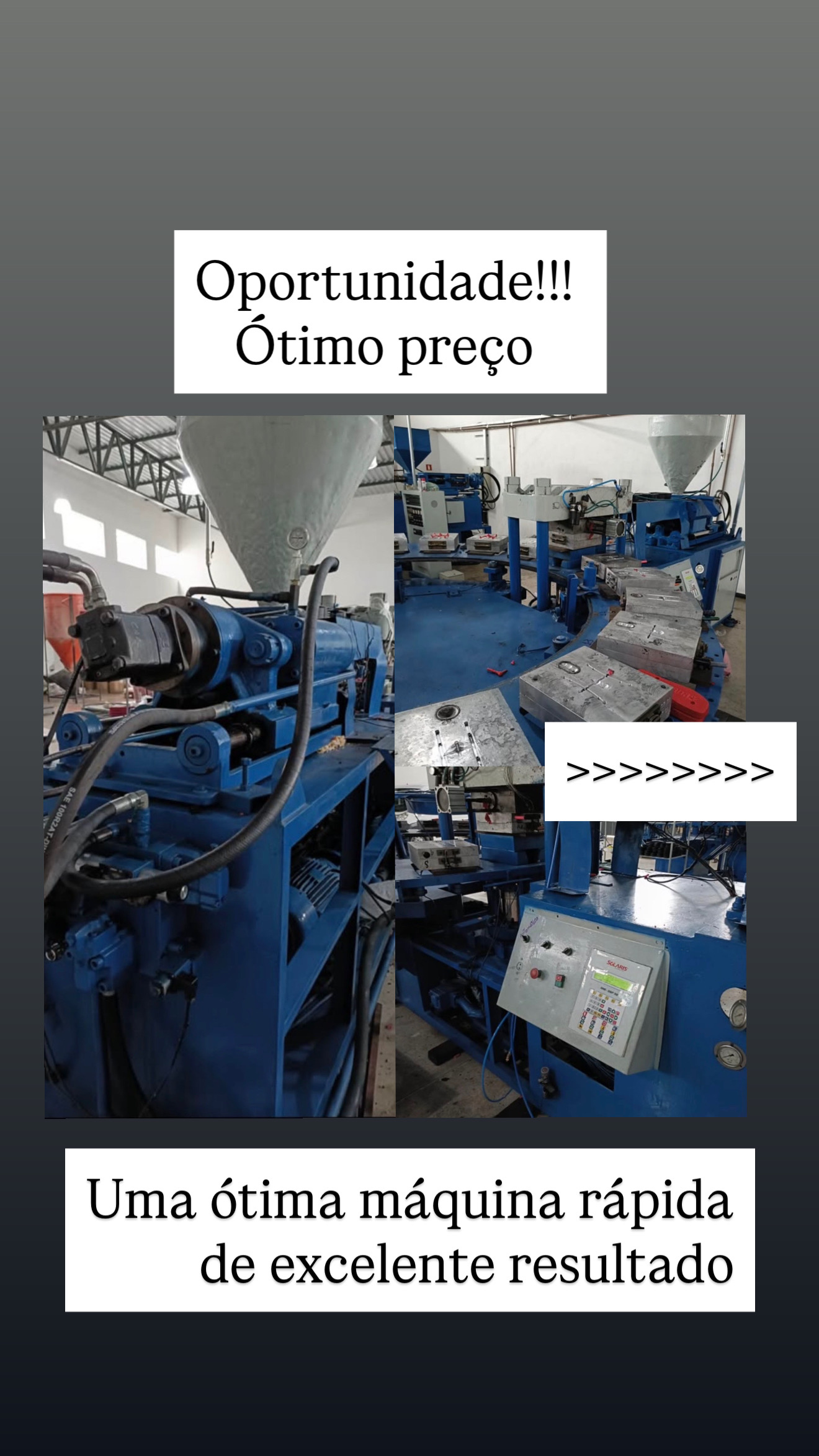Injetora rotativa